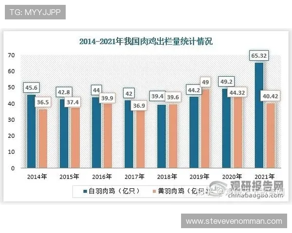 华体会电竞培训在行业中的优势与发展前景分析 华体会电竞培训在行业中的优势与发展前景分析